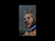 Emil Zunge, Quietschie, TV