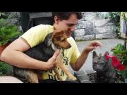 Emil lernt die Stein Dogge kennen